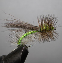 ���� ����� Stimulator STM 05  Fl. Chartreuse Var. ������ � 8 ( Kumho )
